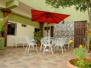 olive-tree-nicaragua (4)