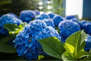 Parque Las Mil Flores, El Crucero: un destino de ensueño